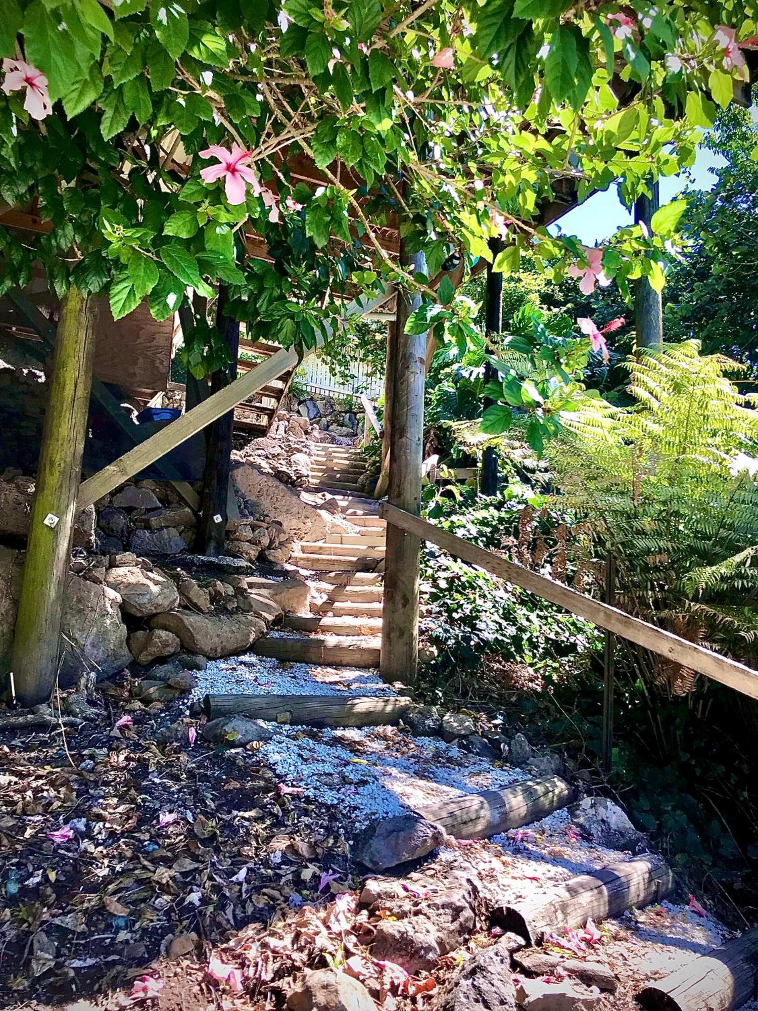 Hatea Treehouse Whangarei Exterior photo